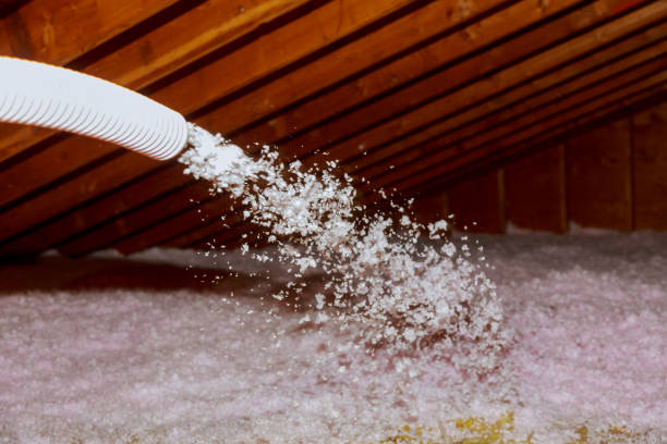 Best Wall Insulation Contractor  in Cooperstown, NY