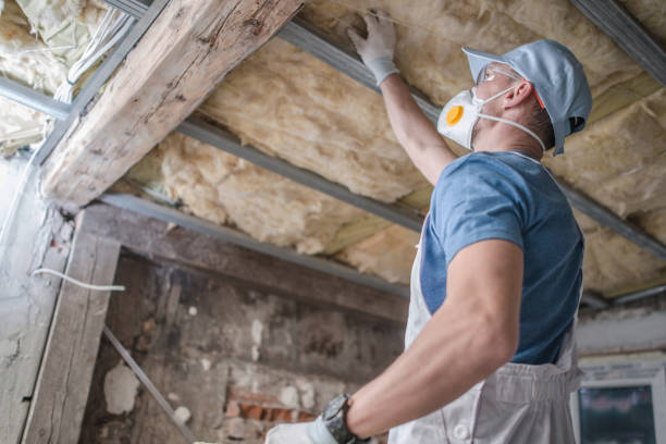 Best Insulation Replacement Services  in Cooperstown, NY