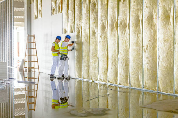 Best Insulation Contractors for Homes  in Cooperstown, NY